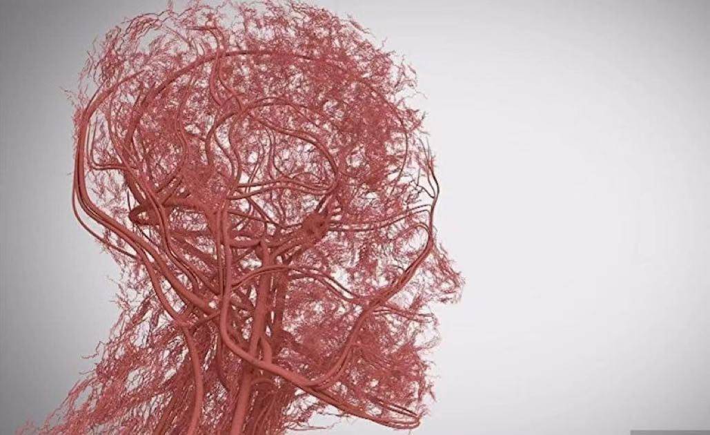 肺癌补硒药吃什么好(肺癌吃硒有作用吗)-硒宝网