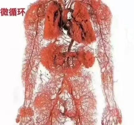 肺癌补硒药吃什么好(肺癌吃硒有作用吗)-硒宝网