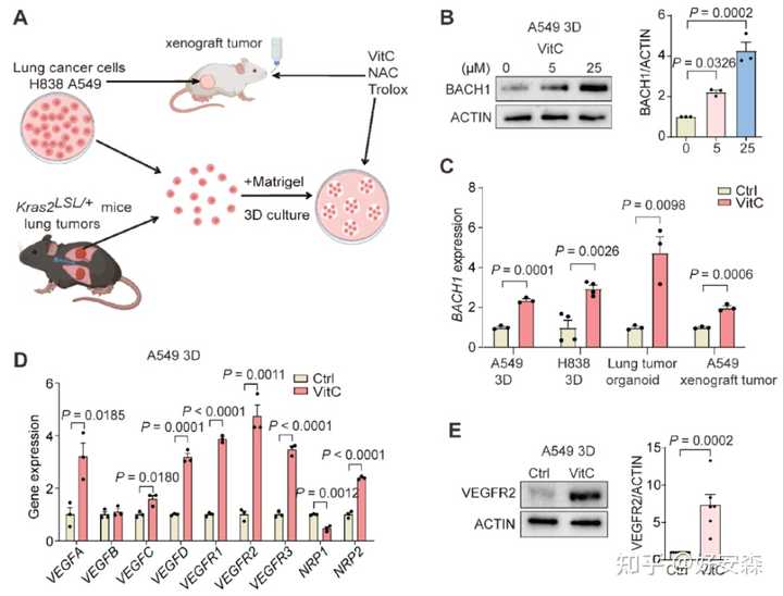 糖尿病什么食物补硒(病补食物糖尿硒含量多少)-硒宝网