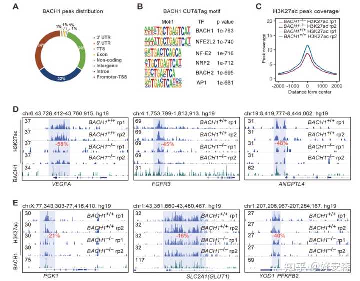 糖尿病什么食物补硒(病补食物糖尿硒含量多少)-硒宝网