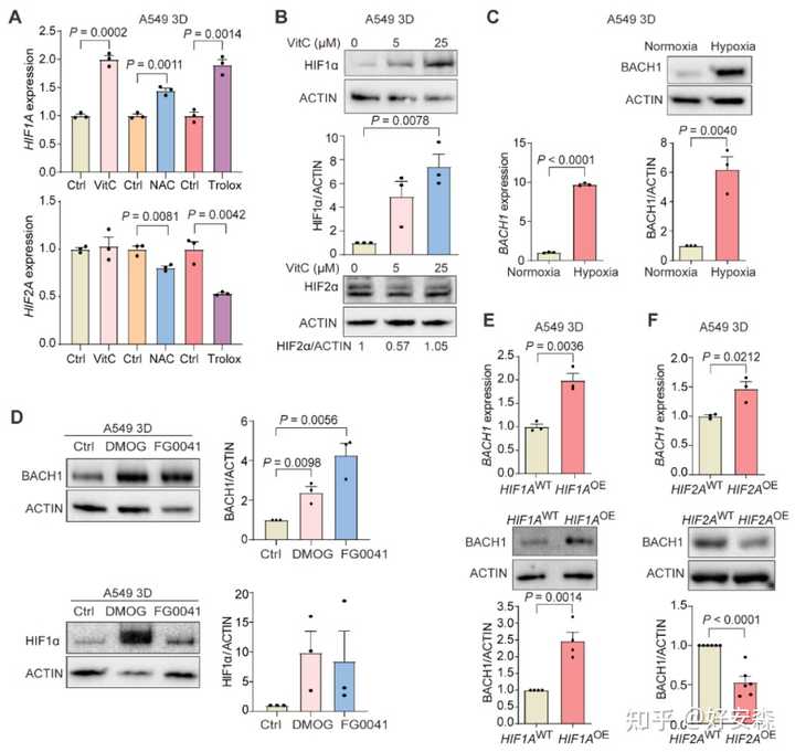 糖尿病什么食物补硒(病补食物糖尿硒含量多少)-硒宝网