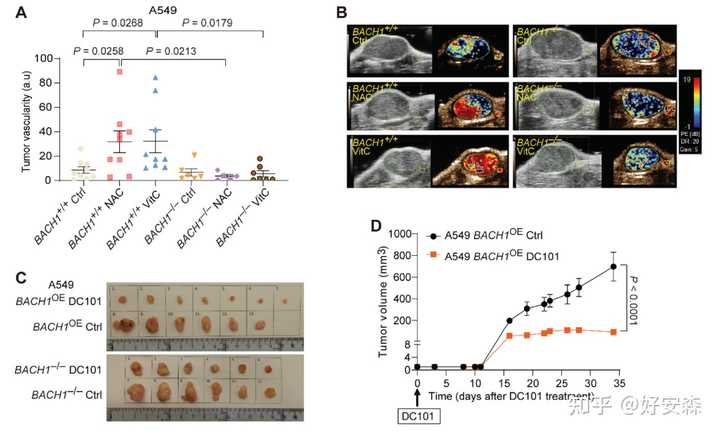 糖尿病什么食物补硒(病补食物糖尿硒含量多少)-硒宝网
