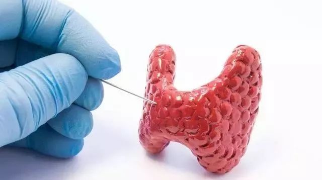 甲亢需要注意补硒吗(甲亢病人需要补硒吗)-硒宝网