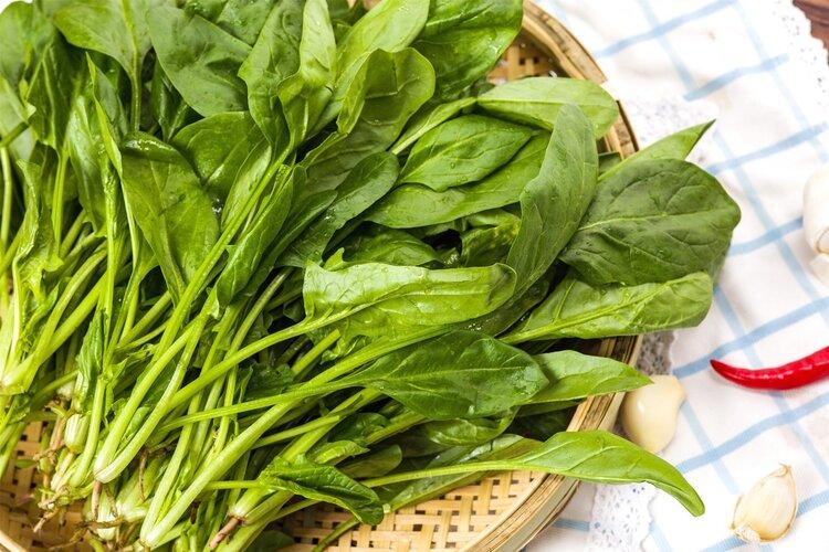 除了牛奶还有什么补钙（牛奶补钙的骗局）-硒宝网