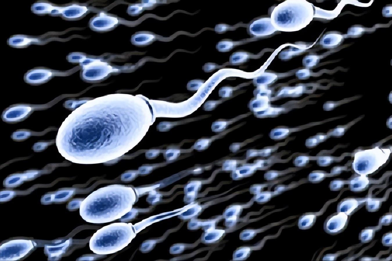 锌硒宝补精子哪种好（锌硒宝提高精子吃多久）-硒宝网