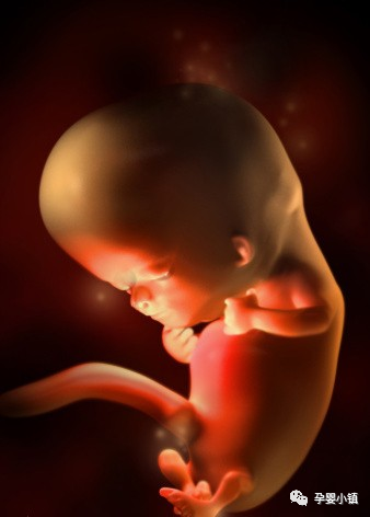 孕多少周开始补钙(怀孕补钙补到几周)-硒宝网