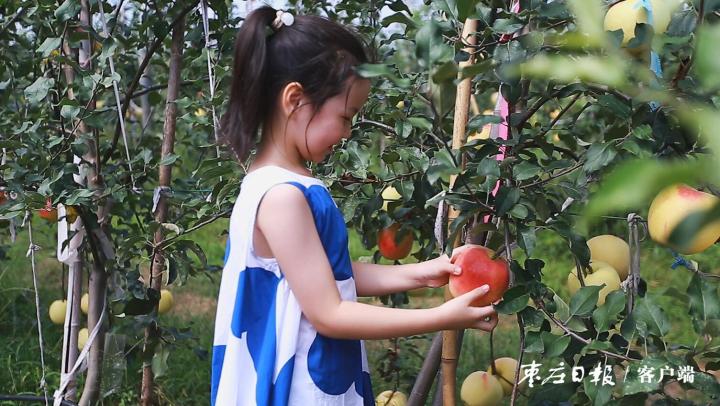 果树补硒元素可以吗（果树补元素硒可以治什么?。?硒宝网