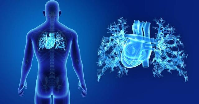 冬季可以补钙吗（冬季补钙可以吗）-硒宝网