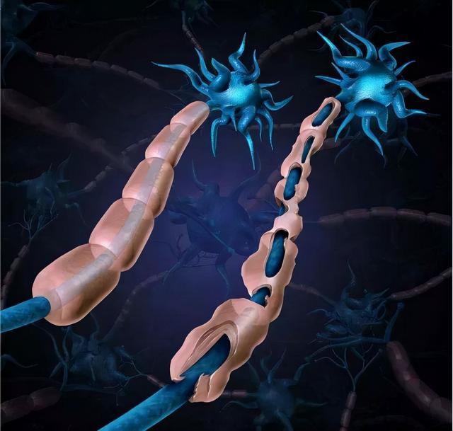 冬季可以补钙吗（冬季补钙可以吗）-硒宝网