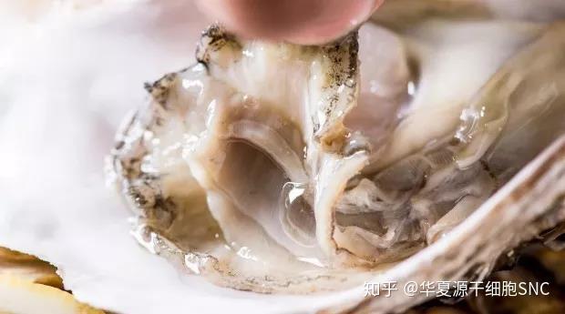 男人为什么要补锌（男人补锌要吃什么呢牌子的）-硒宝网