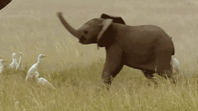 男人为什么要补锌（男人补锌要吃什么呢牌子的）-硒宝网