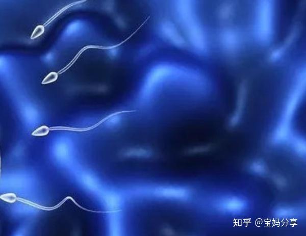 男人为什么要补锌(男人补锌要吃什么)-硒宝网