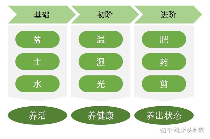 氯是微量元素吗(氯微量元素是什么意思)-硒宝网