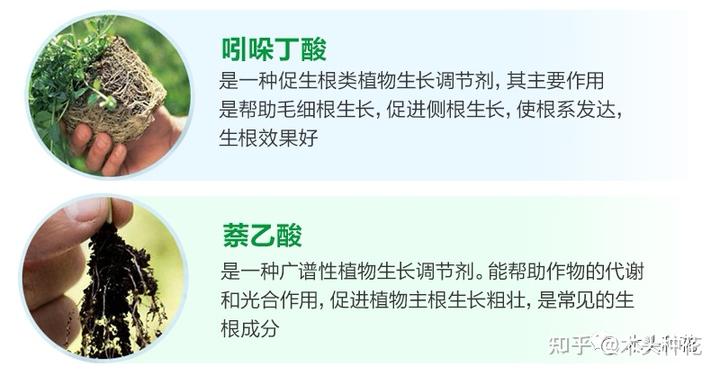 氯是微量元素吗(氯微量元素是什么意思)-硒宝网