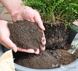 氯是微量元素吗(氯微量元素是什么意思)-硒宝网