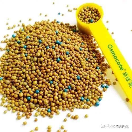 氯是微量元素吗(氯微量元素是什么意思)-硒宝网