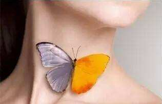 桥本可以吃哪些补硒(桥本可以吃硒吗)-硒宝网