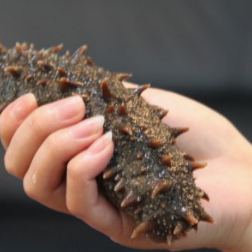 桥本可以吃哪些补硒(桥本可以吃硒吗)-硒宝网