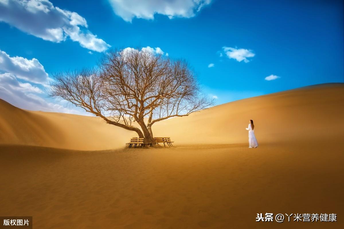 启东肝癌补硒于树玉(启东肝癌与硒)-硒宝网