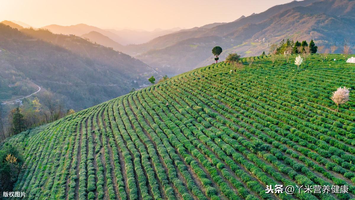 启东肝癌补硒于树玉(启东肝癌与硒)-硒宝网