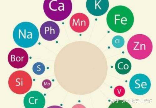 怎么能最快补硒元素(补硒元素吃什么药)-硒宝网