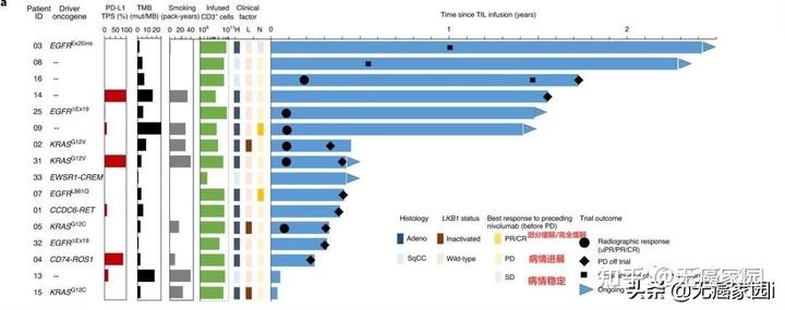 肺腺癌肋骨转移补硒(肺转移补肋骨硒腺癌能治愈吗)-硒宝网