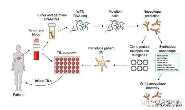 肺腺癌肋骨转移补硒(肺转移补肋骨硒腺癌能治愈吗)-硒宝网