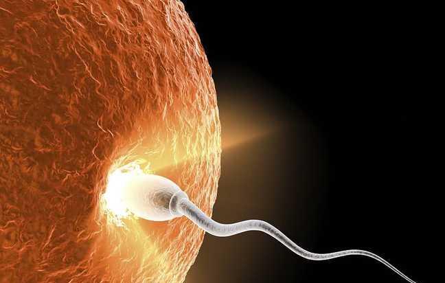 备孕女性补硒吃什么(补女性备孕吃硒片有用吗)-硒宝网