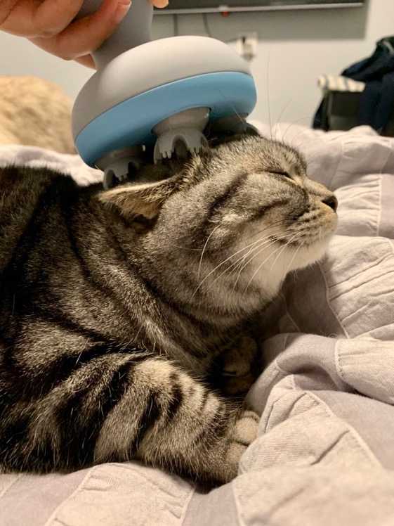 怎么能最快补硒元素(硒元素能随便补吗)-硒宝网