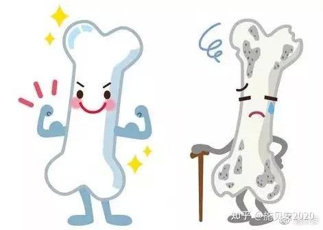 什么季节补钙好（季节补钙最好）-硒宝网