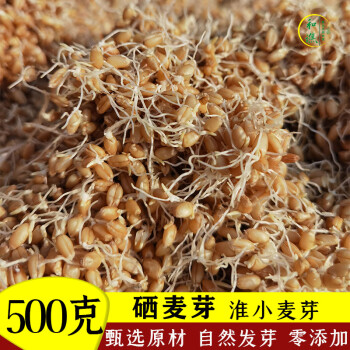 氨基酸硒片补硒麦芽(含硒氨基酸)-硒宝网