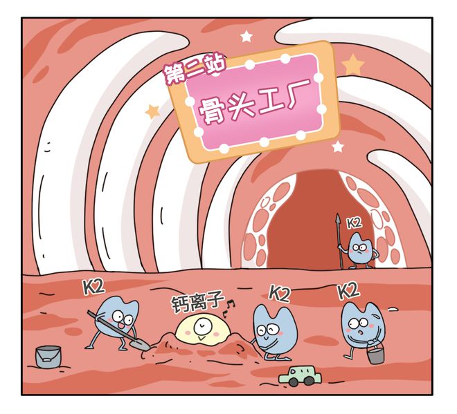 骨髓补钙吗(骨髓补钙不)-硒宝网