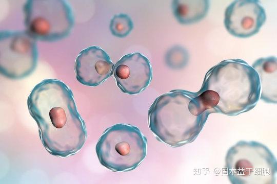 补硒治疗艾滋病案例（hiv补药原则）-硒宝网