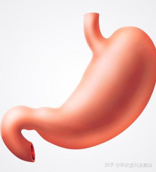 甲状腺素高能补硒吗（甲状腺疾病可以补硒吗）-硒宝网