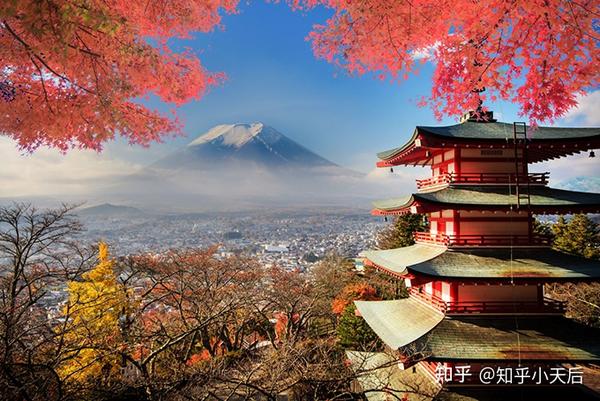 日本药妆店补硒产品(药店的补硒产品哪个好)-硒宝网