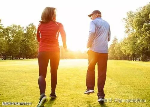 补钙的食物有哪些菜(菜补钙)-硒宝网