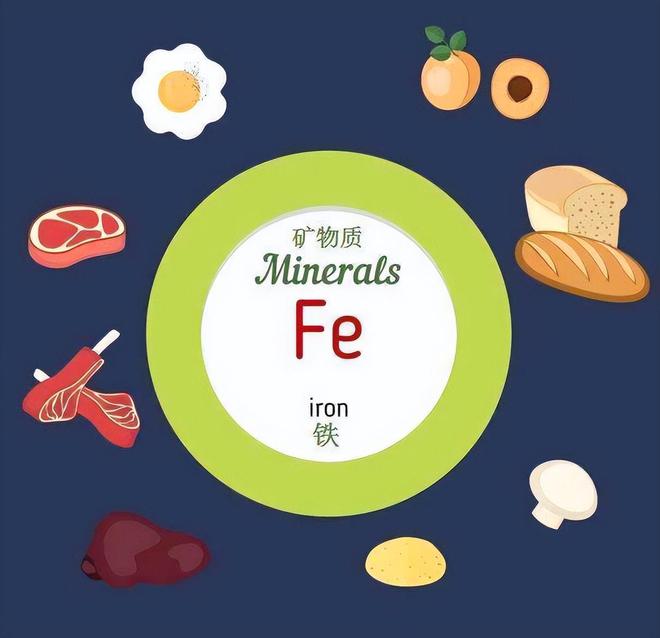 什么食物补铁最好(食物补铁吃什么最好)-硒宝网