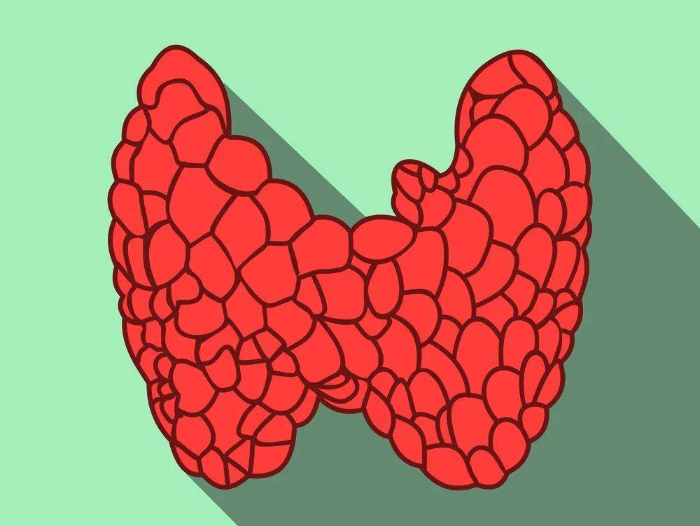 补铁的维生素(维生素补铁吗)-硒宝网