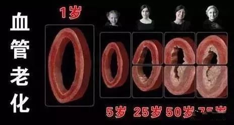 补硒有利于静脉扩张（扩张静脉血管的药有哪些）-硒宝网