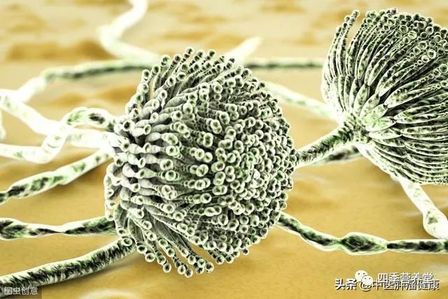 补硒有利于静脉扩张（扩张静脉的药）-硒宝网