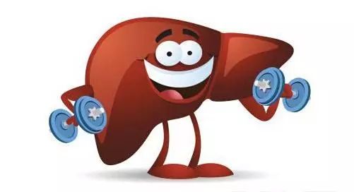 补硒有利于静脉扩张（静脉扩张剂有哪些）-硒宝网