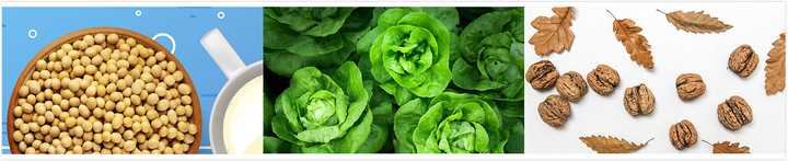 补钙的坚果(坚果补钙第一名)-硒宝网