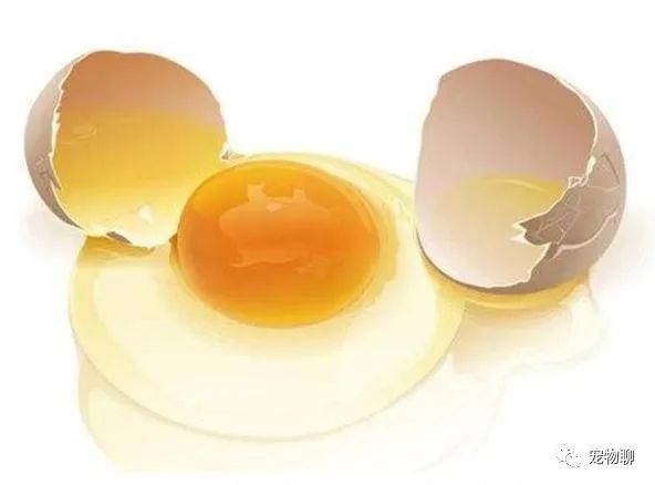 狗吃什么食物补钙（补钙狗狗）-硒宝网