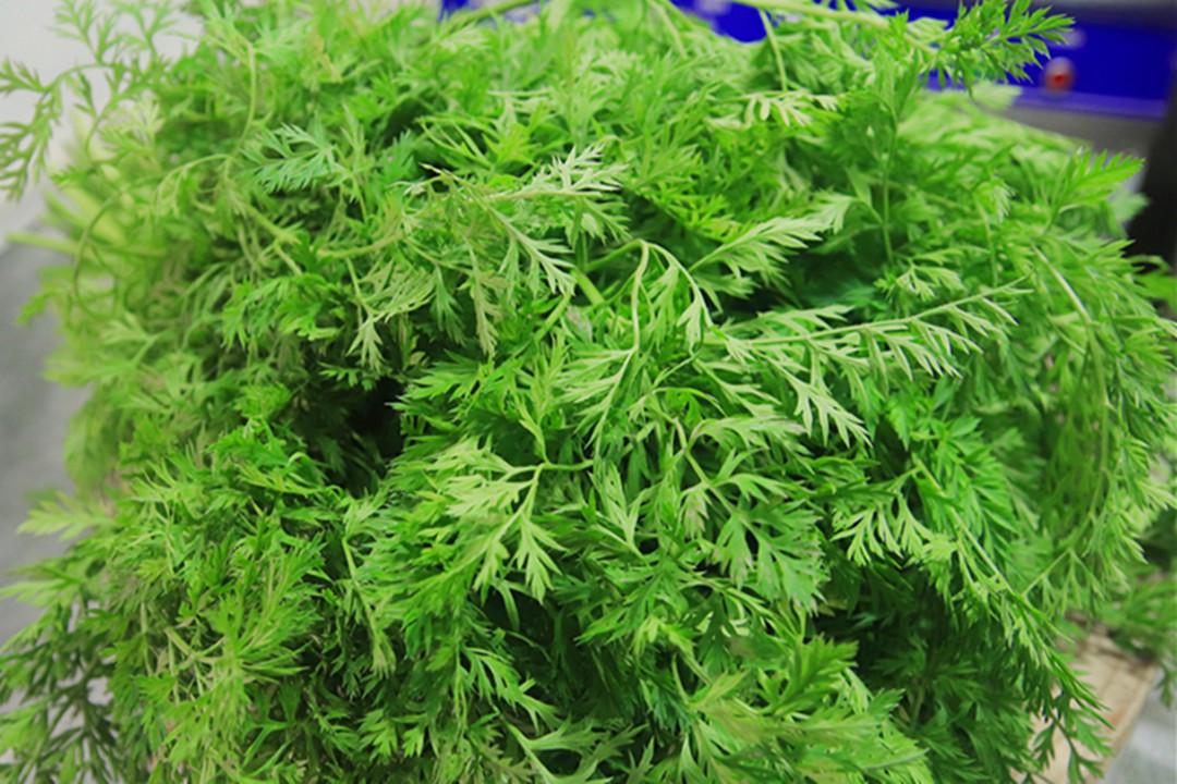 胡萝卜补钙吗（胡萝卜补钙）-硒宝网