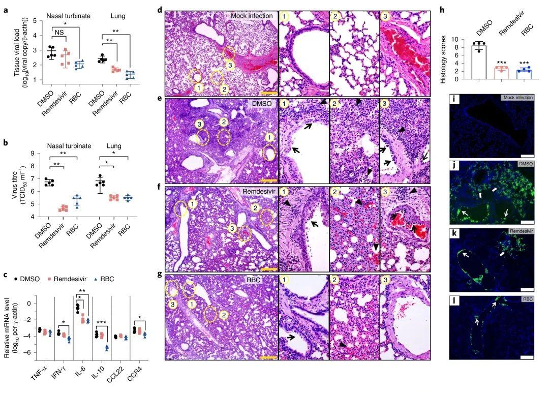 儿童氟锌铜硒怎么补(锌硒对儿童生长发育的影响)-硒宝网