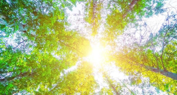 晒太阳补钙原理(晒阳光补钙原理)-硒宝网