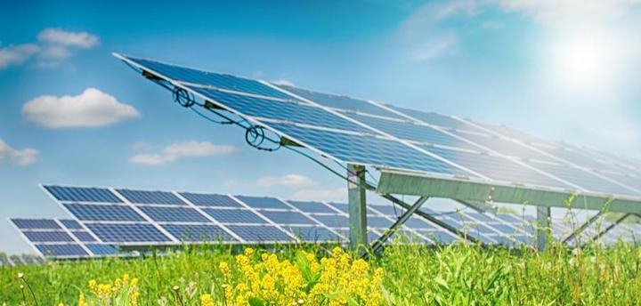 晒太阳补钙原理(晒阳光补钙原理)-硒宝网