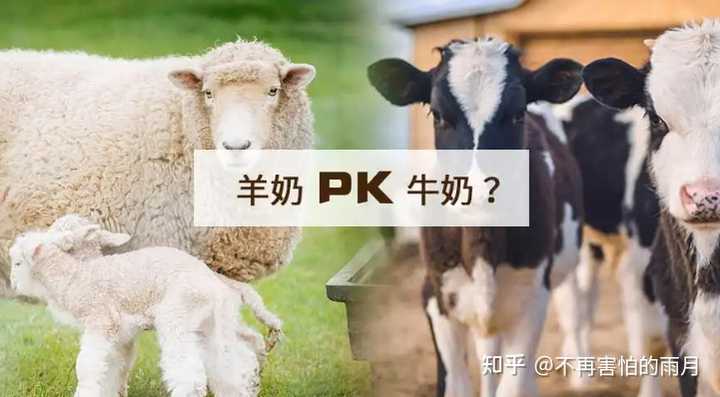 补硒和钙哪个营养好(硒钙片的好处)-硒宝网