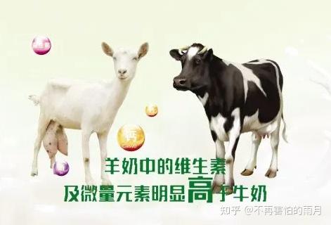 补硒和钙哪个营养好(硒钙片的好处)-硒宝网