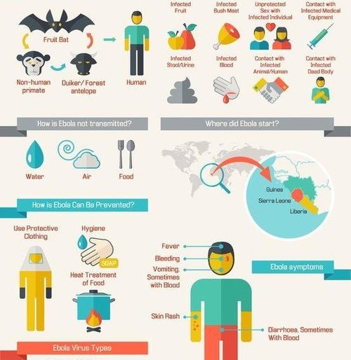 补铁的药品(药品补铁和保健品补铁哪个好)-硒宝网